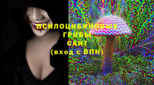 мет Елизово