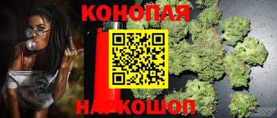 spice Лесосибирск