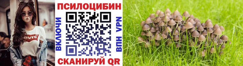 Галлюциногенные грибы GOLDEN TEACHER  Ступино 